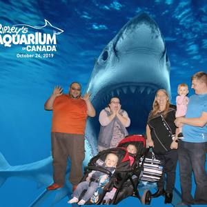 Meet your Posher, Lillian